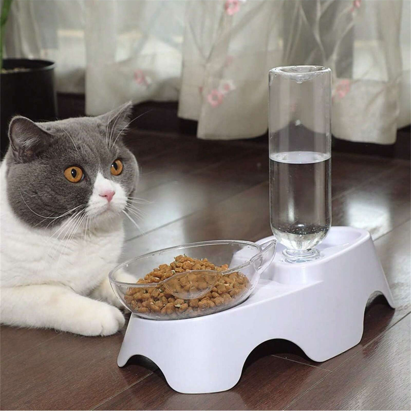 Набор из 2-х мисок для собак и – обзор и цена Royal Canin Food Medium