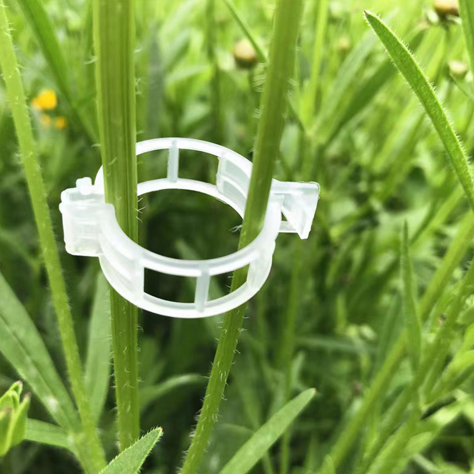 Пластиковые зажимы для растени – обзор и цена Vine Climbing Plastic